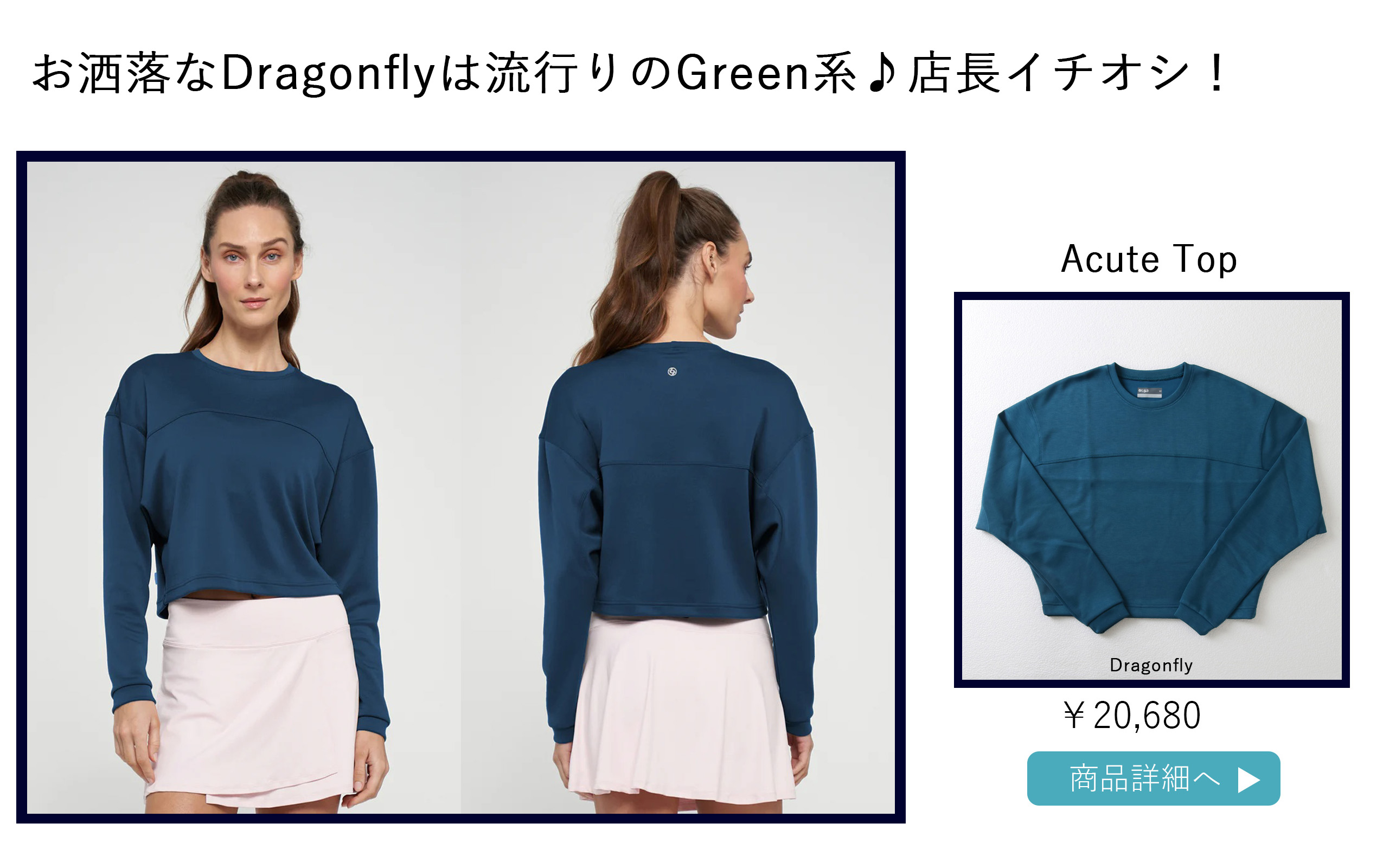 AcuteTopDragonfly