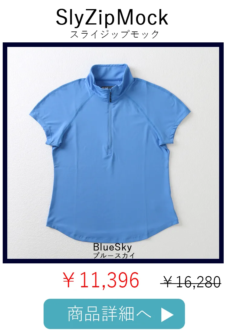 SlyZipBlueSky