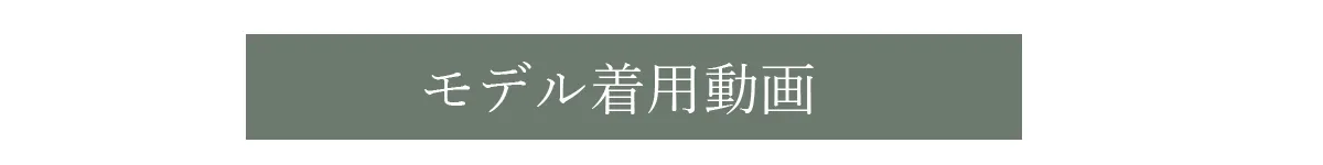 モデル着用動画表示