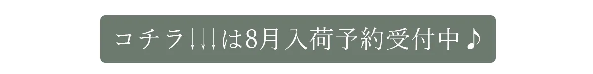 こちらは8月末入荷予定の予約品です