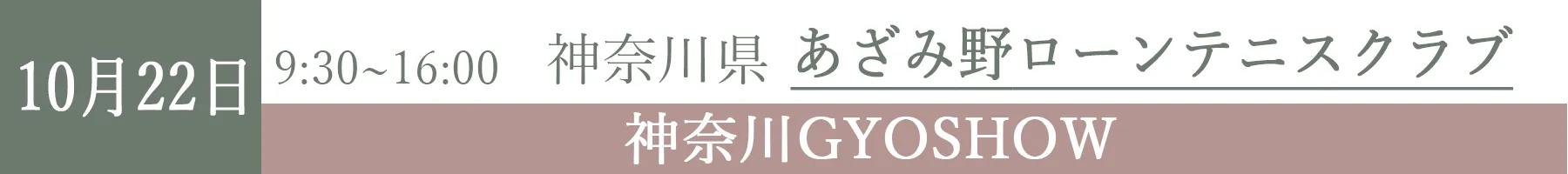 GYOSHOW1022